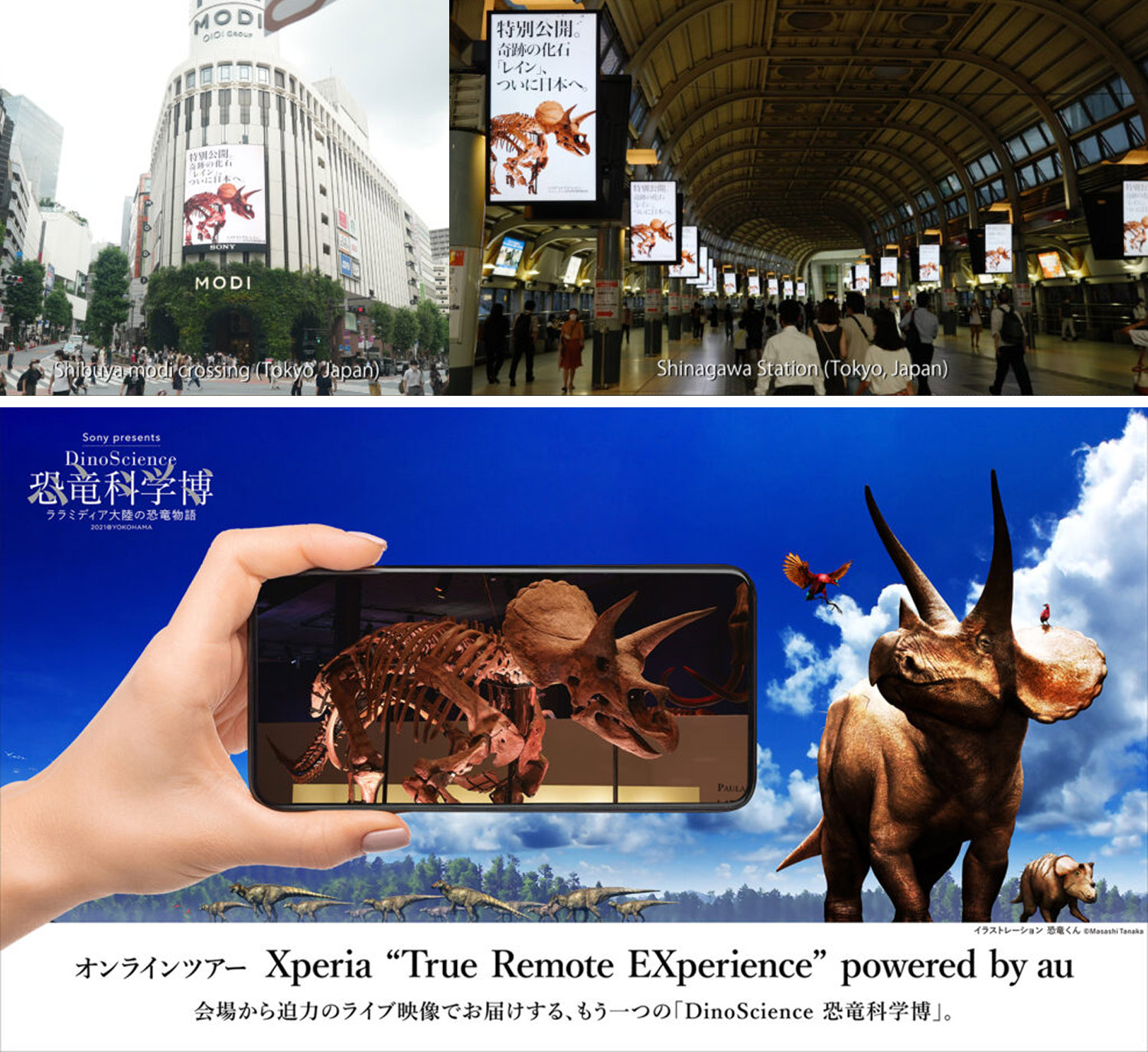 Xperia-2